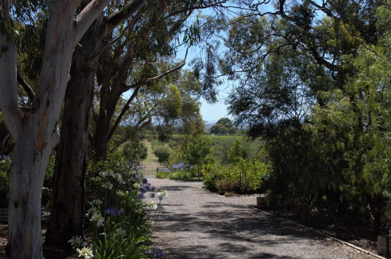 The Farm Willunga Bed and Breakfast Exteriör bild