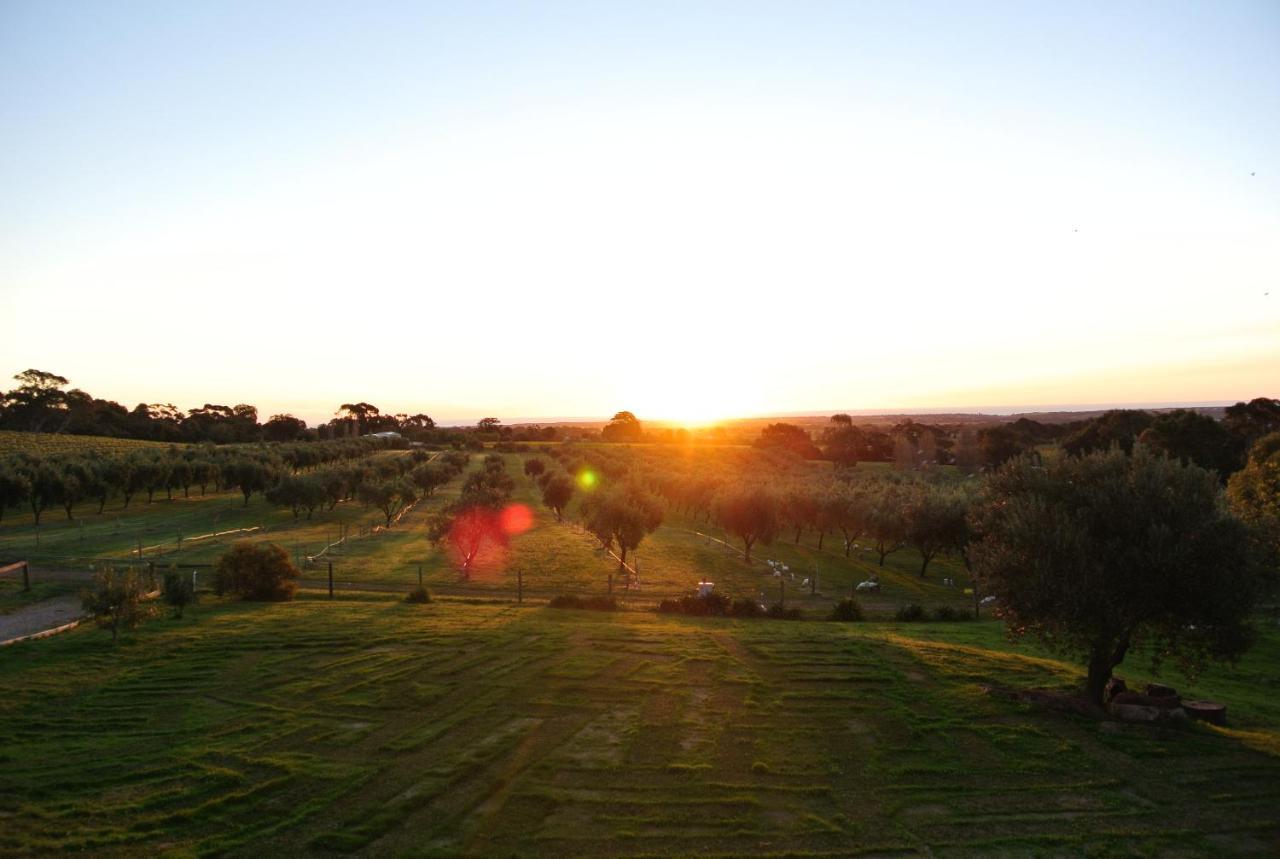 The Farm Willunga Bed and Breakfast Rum bild