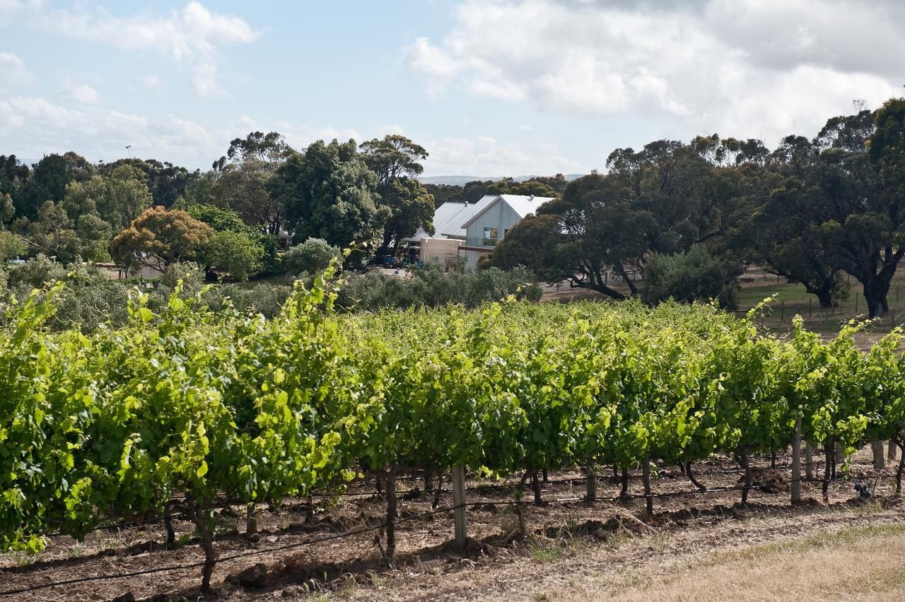 The Farm Willunga Bed and Breakfast Exteriör bild